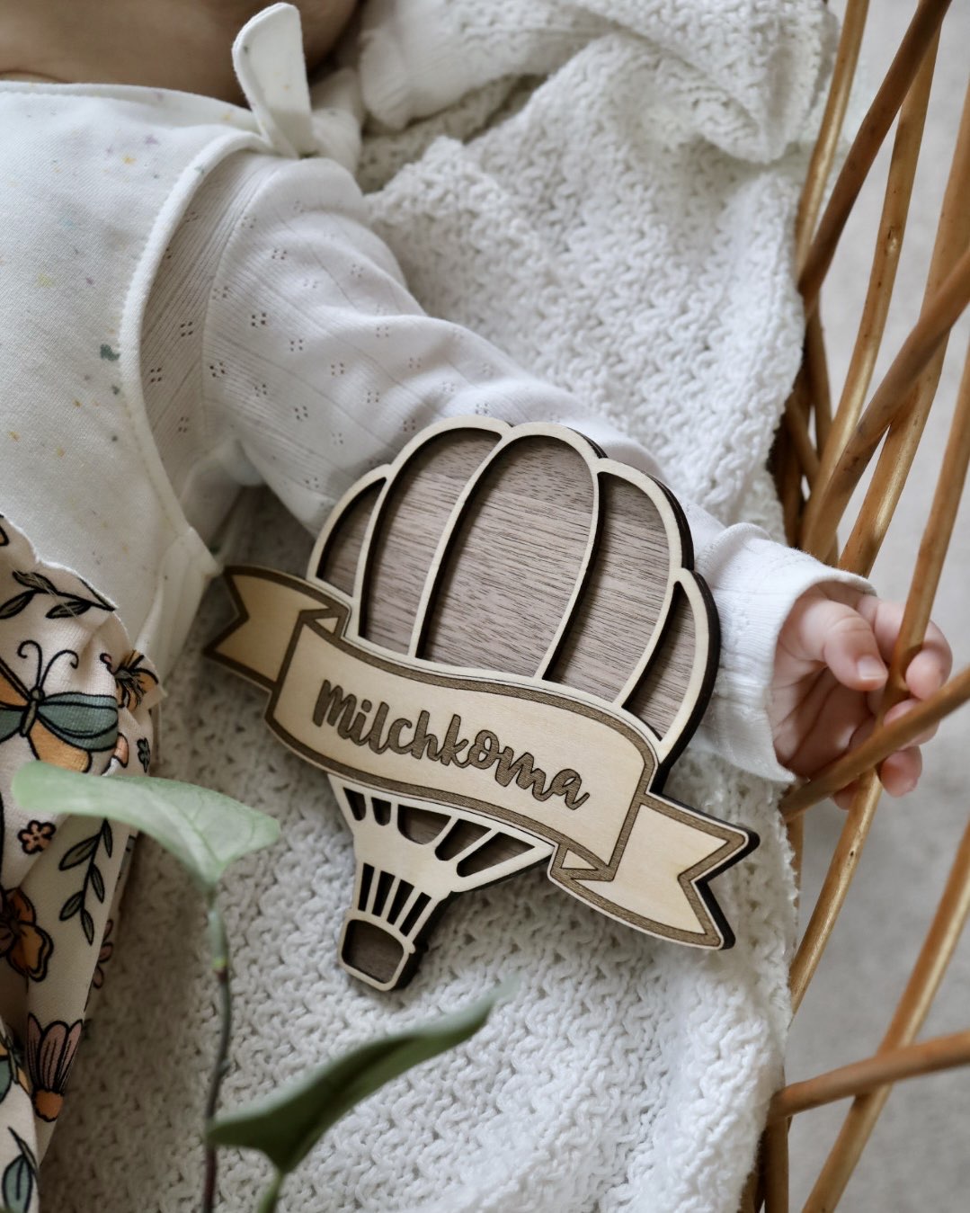 Meilenstein Set "Heißluftballon"