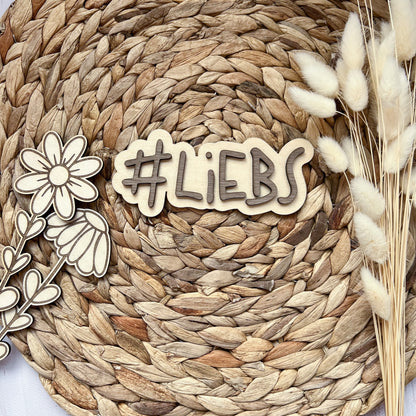 Schild - #LIEBS